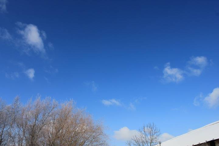 20170117-0121.jpg