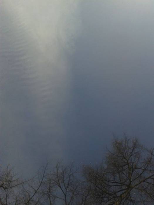 20170313-121205
