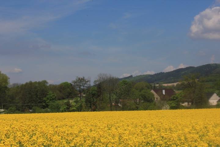 20170514_110002.jpg