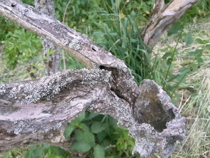 20170526_205709.jpg